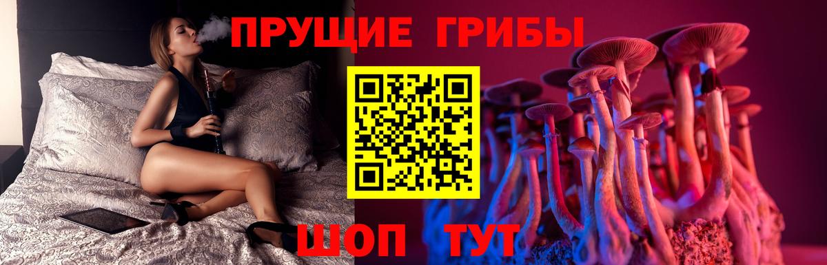 Галлюциногенные грибы Psilocybine cubensis Северобайкальск
