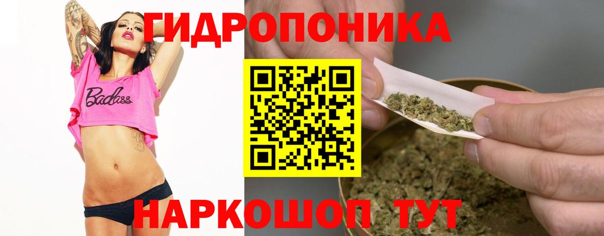 Бошки Шишки план Северобайкальск